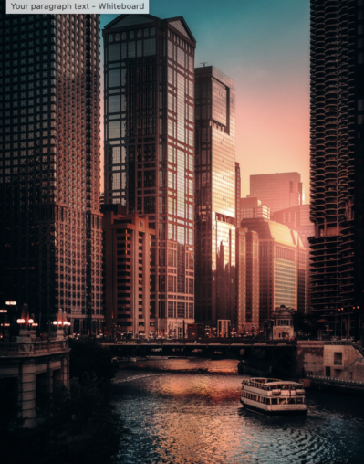 Finding Home Chicago