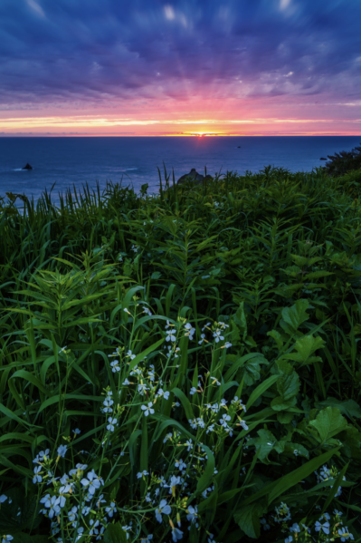 "Finding Home: The Heart of Humboldt" – Showcasing Humboldt’s vibrant lifestyle, environmental beauty, and community tradition
